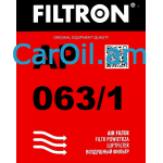 Filtron AP 063/1